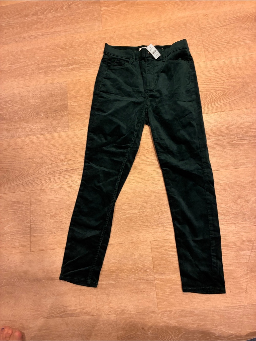 NWT LOFT Womens Forest Green Velvety Slim Fit Dressy PantsSz 27 GardenFairy